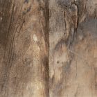 Peronda Fs Seattle   30X30