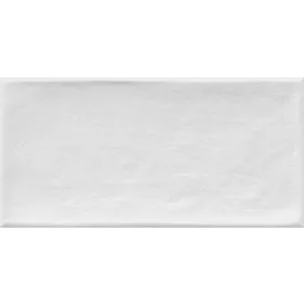 Vives Etnia Blanco 10x20