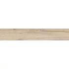 Peronda Grove-H/R  19,5X121,5 