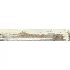 Peronda Unique/R   19,5X121,5