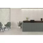 Peronda Nature  Grey /R Soft  60X120