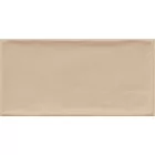 VIVES Etnia Siena 10x20