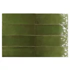Equipe  FANGO 5X15 FANGO GREEN GLOSS 5X15 Fényes