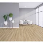 Kaindl  Tölgy Cordoba Crema K2241 Laminált Padló  Ac 5 8Mm