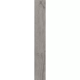 Ragno Woodessence Grey R4Md 100X700  