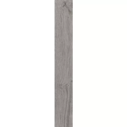 Ragno Woodessence Grey R4Md 100X700  