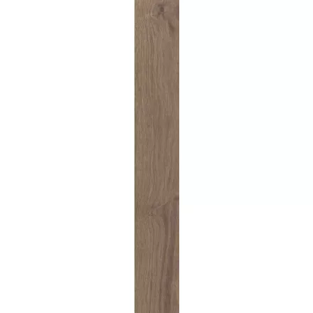 Ragno Woodessence Brown R4Me 100X700  