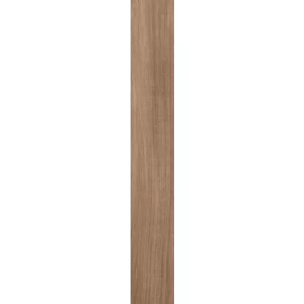 Ragno Woodessence Honey R4Mf 100X700  