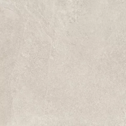 Ragno Slate Shell Rt R5Zg 600X600  