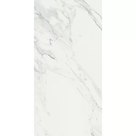 Ragno Imperiale Venato Glossy Rt R710 580X1160 