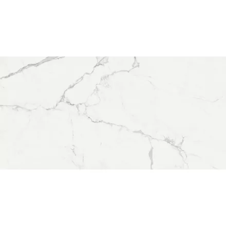 Ragno Imperiale Statuarietto Glossy Rt R72G 580X1160 