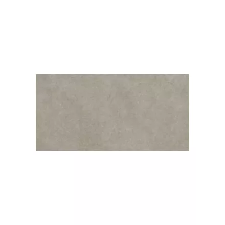 Ragno Argent Ghiaccio Ptv Rt R9Km 600X1200 