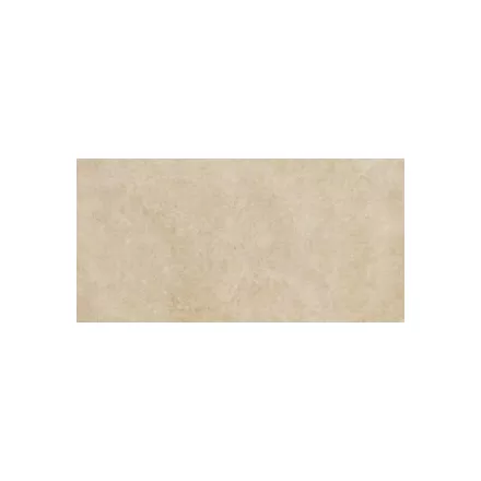 Ragno Argent Miele Ptv Rt R9Kp 600X1200 