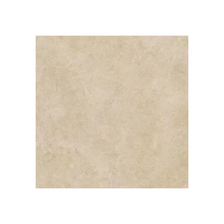 Ragno Argent Miele Ptv Rt R9Kt 600X600  
