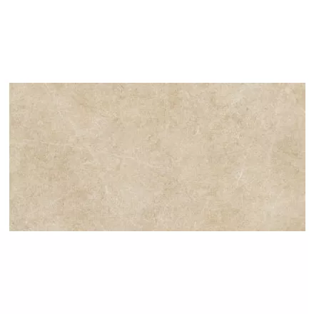 Ragno Argent Miele Ptv Rt R9Ky 300X600  