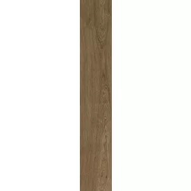 Ragno Ossimori Marrone Extra Matt Rt R9Rr 250X1500 