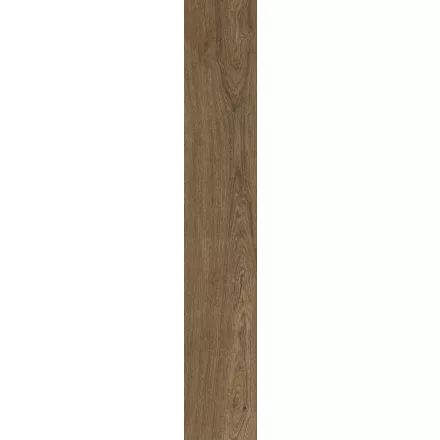 Ragno Ossimori Marrone Extra Matt Rt R9Rr 250X1500 