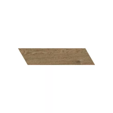 Ragno Ossimori Marrone Chevron R9St 110X540  