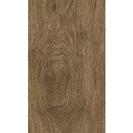 Ragno Ossimori Marrone Rt R9Te 200X1200 