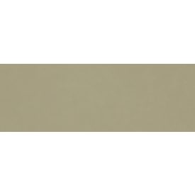 Ragno Vida Verde Rt Ra6E 300X900  