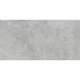 Ragno Richmond Silver Rt Rafw 600X1200 