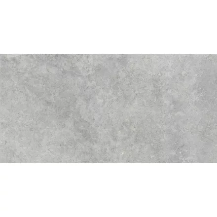 Ragno Richmond Silver Rt Rafw 600X1200 