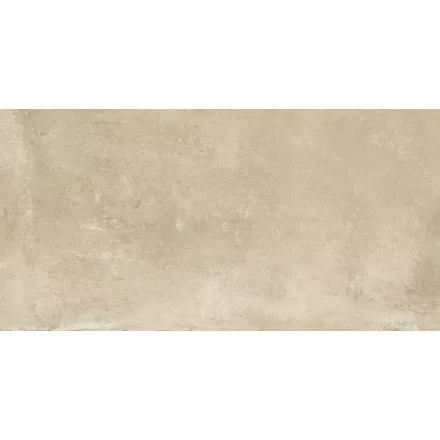 Ragno Clayton Earth Rt Ragv 600X1200 