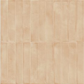 Ragno Amuri  Biscotto Rc8Q 053X300  