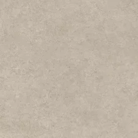 Ragno Tiempo Taupe Rt Rcs5 1000X1000
