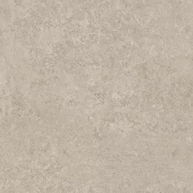 Ragno Tiempo Taupe Rctu 450X450  
