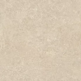 Ragno Tiempo Beige Rcty 450X450  
