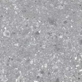 Ragno Ceppo Grigio R10 Rt Rcxc 600X600  