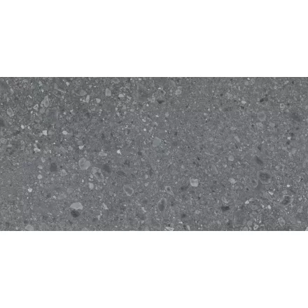 Ragno Ceppo Antracite R10 Rt Rcxh 900X1800 