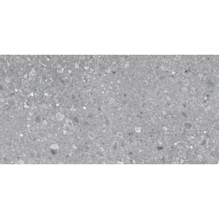Ragno Ceppo Grigio R10 Rt Rcxj 900X1800 