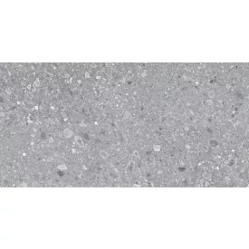 Ragno Ceppo Grigio Rt Rcxk 900X1800 