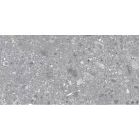 Ragno Ceppo  Xt20 Grigio  Rt Rcyp 600X1200 