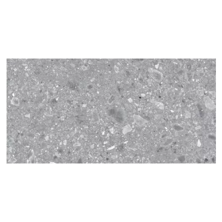 Ragno Ceppo  Xt20 Grigio  Rt Rcyp 600X1200 