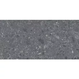 Ragno Ceppo Xt20 Antracite Rt Rcyr 600X1200 