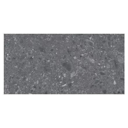 Ragno Ceppo Xt20 Antracite Rt Rcyr 600X1200 