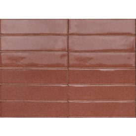 Ragno Mid Rubino Glossy Rdfn 060X240  