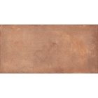 Rondine Terrae Montefalco Strong R11 20,3X40,6