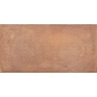 Rondine Terrae Montefalco Strong R11 20,3X40,6