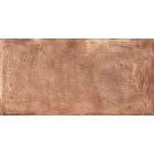 Rondine Terrae Orvieto Strong R11 20,3X40,6