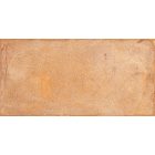 Rondine Terrae Orvieto Strong R11 20,3X40,6