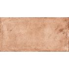 Rondine Terrae Orvieto Strong R11 20,3X40,6