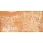 Rondine Terrae Orvieto Strong R11 20,3X40,6