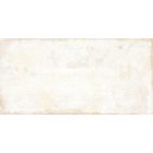 Rondine Terrae Spello Strong R11 20,3X40,6