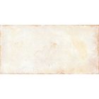 Rondine Terrae Spello Strong R11 20,3X40,6