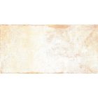 Rondine Terrae Spello Strong R11 20,3X40,6