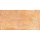 Rondine Terrae Vignanello Strong R11 20,3X40,6